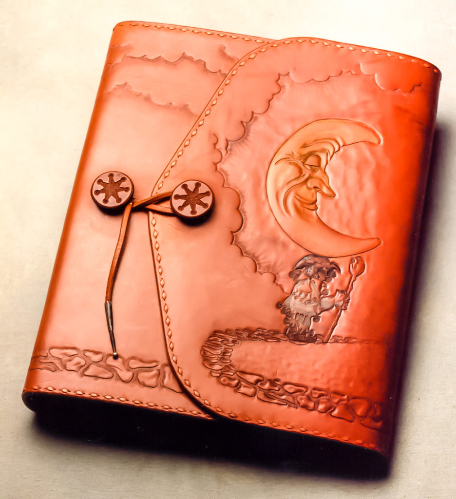 Moonlighter Portfolio