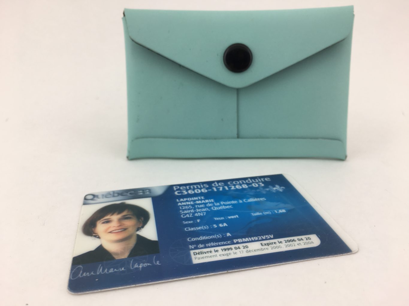 Lined Card Case – Turquoise/Black