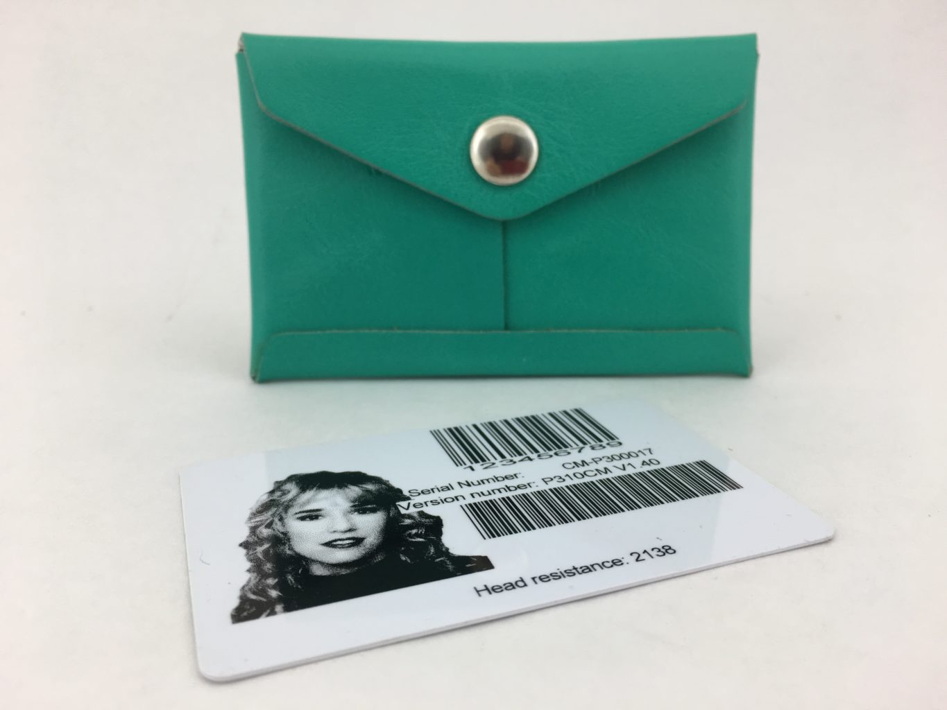 Lined Card Case – Seafoam/Silver